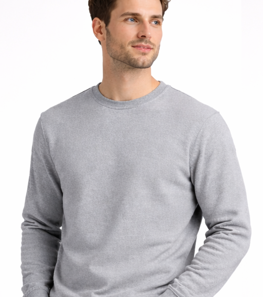 adult sweatshirt 4201s